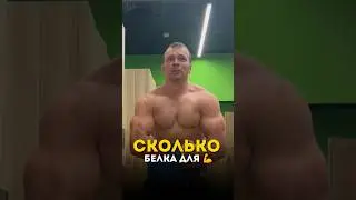 Сколько нужно белка, чтобы был рост мышц