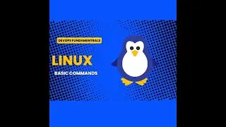 Basic Linux Commands: Every Beginner Should Know
