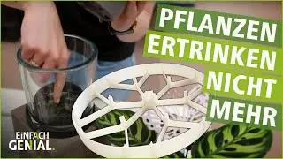 Drainage-Ring: So ERTRINKEN Pflanzen NICHT mehr! | Einfach genial | MDR
