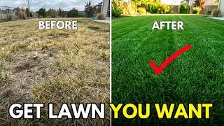 5 Cheap Ways to FIX an UGLY Lawn with RESULTS - Step by Step for Beginners EASY...