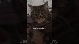 Что есть, то есть…. 