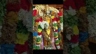 திருச்செந்தூர் முருகன் வழிபட்ட பஞ்சலிங்க சிவனுக்கு அபிஷேகம் செய்வது யார் தெரியுமா? 🐓 #shorts #short