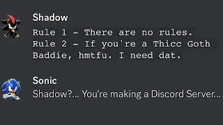 Shadow Making Rules On His Discord Server.
