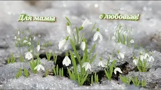 С днем рождения, моя любимая мама!