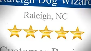 The Dog Wizard Raleigh Review Cary NC Carpenter Village 27511 919 926 9165