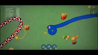 big snake fight part -1