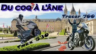 ⚠️ Je passe du Coq 🐔 à l'âne 🐴 entre le Tmax 🛵et la Tracer 🏍️