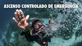 [Habilidades de Buceo] Ascenso Controlado de Emergencia - ACEM