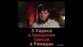 Три хадиса о прощании грехов