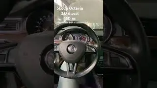 Шкода Октавия отключение егр и сажи