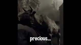 Harassing the Local Wildlife of RE4