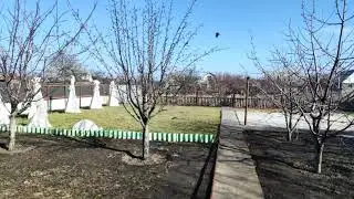 21 февраля 2022 г.