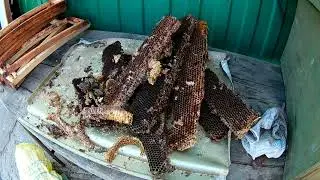 Простой способ получения 100% воска