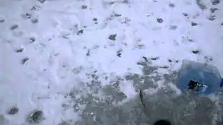 Ванёк содит мотросов
