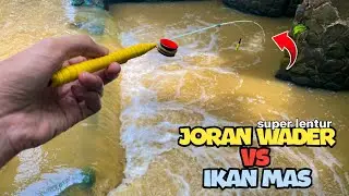 Mancing ikan mas pake joran wader super lentur‼️