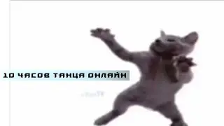 ебанутый кот танцует под звуки 10 часов