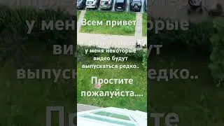 #2024 пока?..