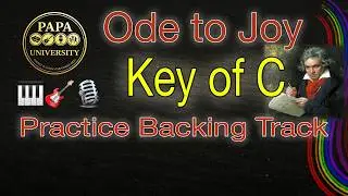 Ode to Joy – Easy Play Along (Sound Like a Pro as a Beginner)