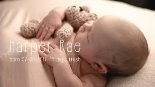 Pink Owl Studios Breathtaking Houston Baby Photography