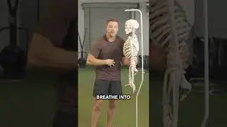 How Your Posture Influences Your “Belly Fat” (do this to fix it and look better) 