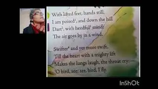 CLASS 8 ENGLISH 2 POEM GOING DOWN HILL ON A BICYCLE BY TRIPTI SHARMA