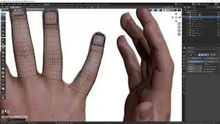 Blender 2 8   Class 11 Hands
