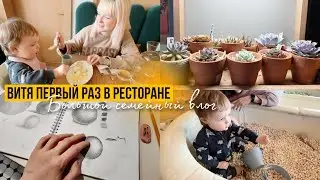 СЕМЕЙНЫЙ VLOG ❤️ Витя первый раз в РЕСТОРАНЕ / Мои суккуленты  / Что мы едим 🥬