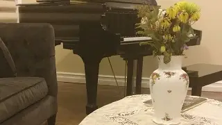 Simply Amazing :) Wolfgang Amadeus Mozart's Cousin's Piano SKILLS