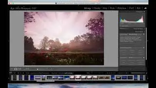 What is a Light Leak and How to Avoid it