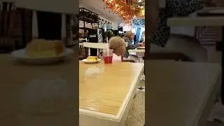 Системная ошибка в воспитании детей