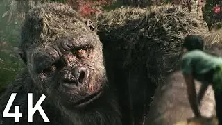 GODZILLA X KONG THE NEW EMPIRE ALL 4K Movie CLIPS + Trailer (NEW 2024)