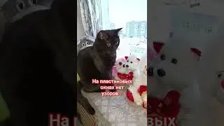 на пластиковых окнах нет узоров... 