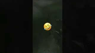 scav main 