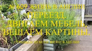 Переезд. Двигаем мебель. Вешаем картины. Кормим Лилли мороженым. № 609 Жизнь в Англии