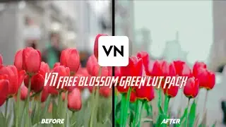 blossom green lut pack for vn | vn editor | premier pro | colour grading | lens reflex you