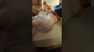 Лечим зубы Алисе.С днём стоматолога