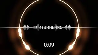 Литвиненко - оп мусарок