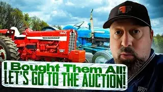 I Bought Them All! Let's Go to the Auction!