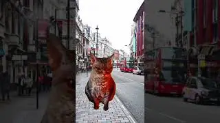 не совершайте ошибки #shorts