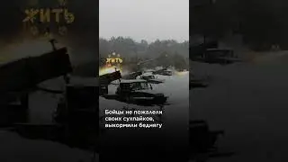 Жизнь собаки на Донбассе @shortszoozhit  #животные #питомцы #донбасс #щенки #спасение #shorts
