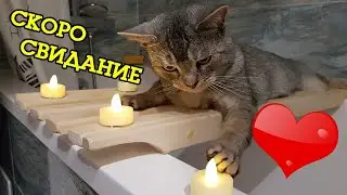 КОТ БЕЗ ЛАПКИ ГОТОВИТСЯ К СВИДАНИЮ С ПОДПИСЧИЦЕЙ