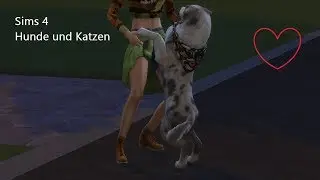 Sims 4 Hunde und Katzen ♥ (Ger/Deu)