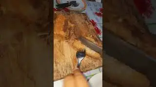 Lechon Kawali