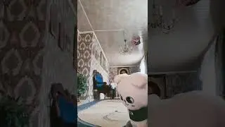 26 марта 2024 г.