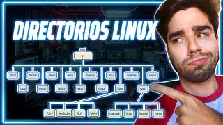 Descubre la Estructura y Árbol de Directorios y Ficheros en LINUX 🌲📁