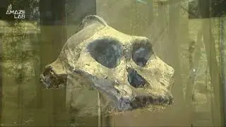 New ‘Ghost’ Genome Found in 50,000 Year Old Prehistoric Human