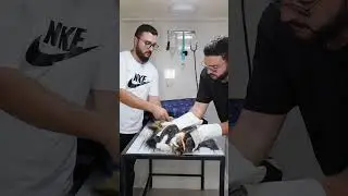 How to deal with angry cat and ferocious cat 🐱 part 101