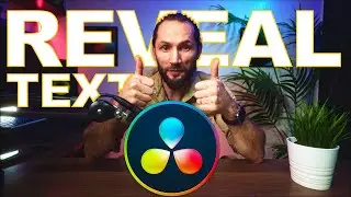 Best TEXT REVEAL Effect in DaVinci Resolve 18