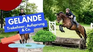 Geländetraining Olfen - neue Sprünge für Fabi & Guinness 🐎😍