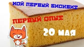 VLOG: Первый опыт в приготовление бисквита
